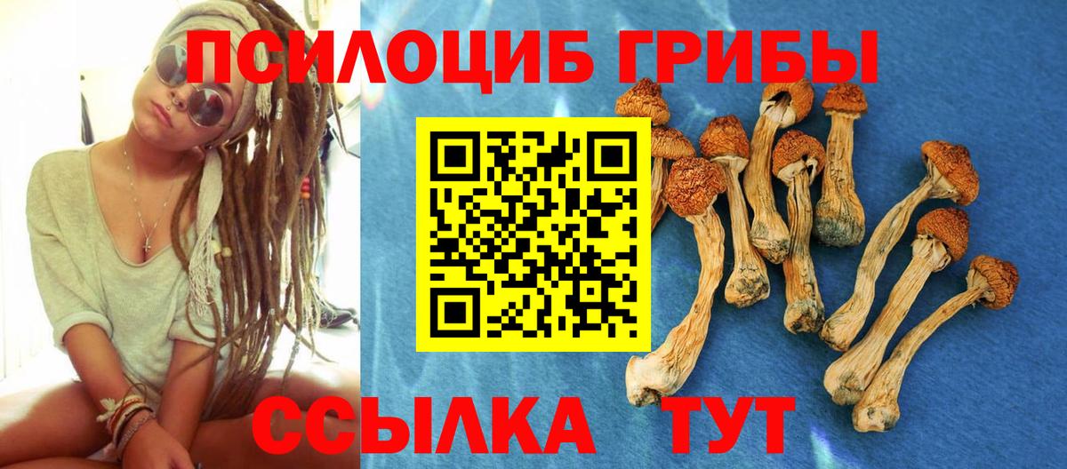 Псилоцибиновые грибы Cubensis Лысьва